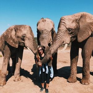 Meet your Posher, Rachel